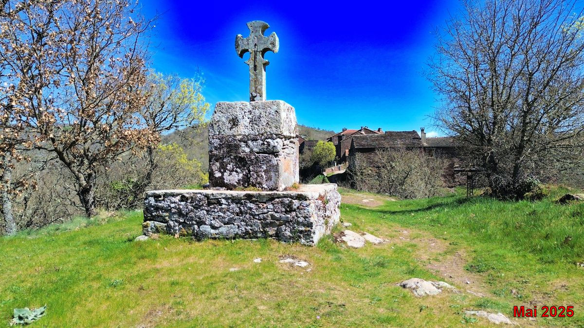 DCIM100MEDIADJI_0081