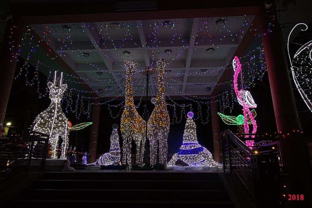 IlluSalmanacàStAff2018 (13)