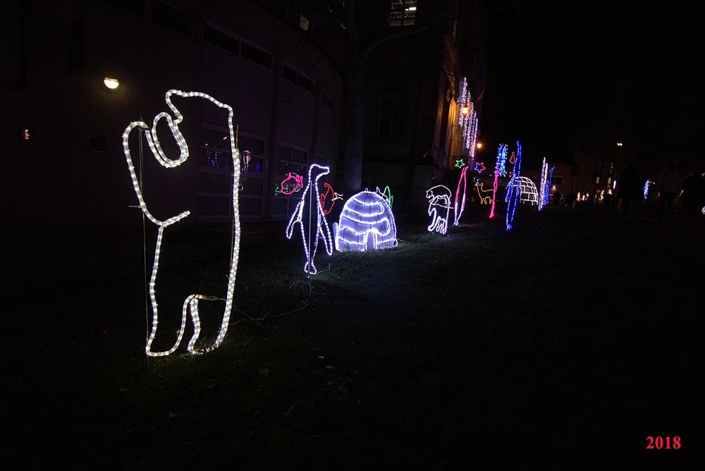 IlluSalmanacàStAff2018 (16)