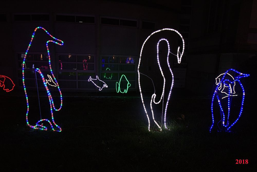 IlluSalmanacàStAff2018 (17)