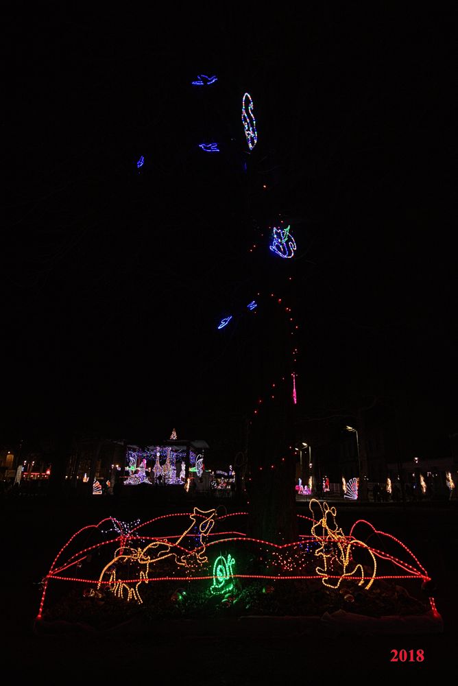 IlluSalmanacàStAff2018 (21)