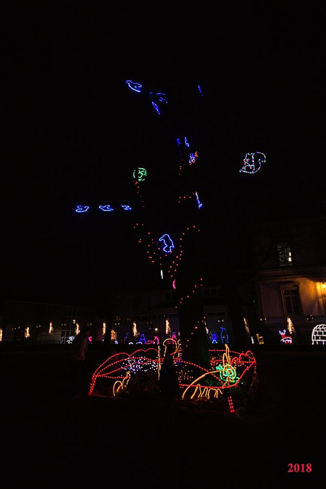 IlluSalmanacàStAff2018 (23)