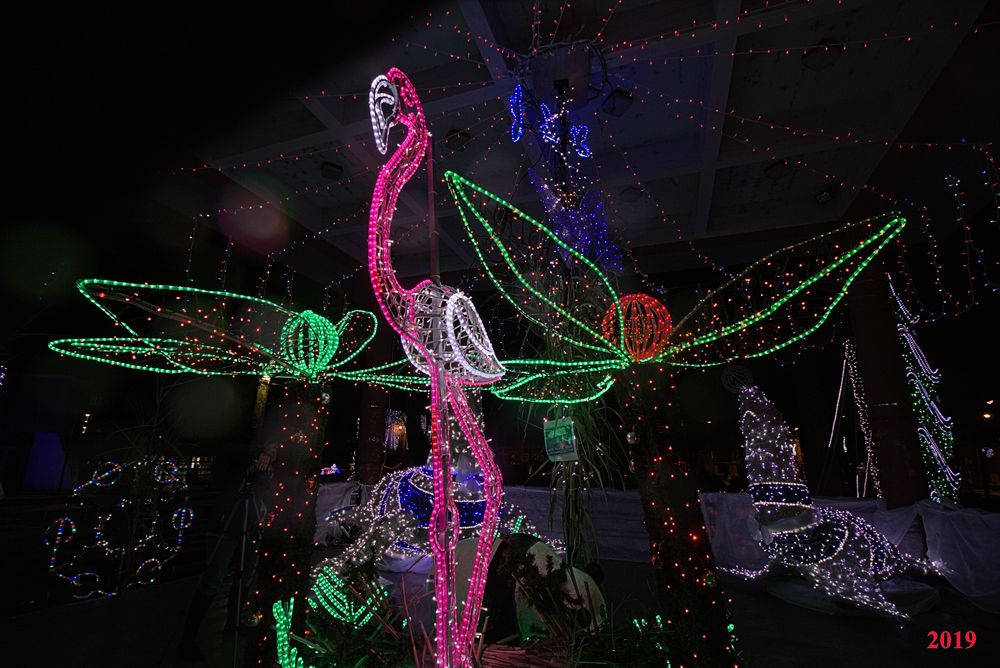 IlluSalmanacàStAff2019 (13)