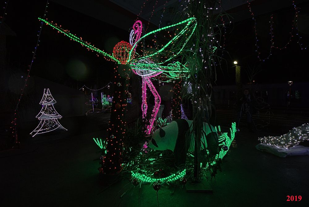 IlluSalmanacàStAff2019 (17)