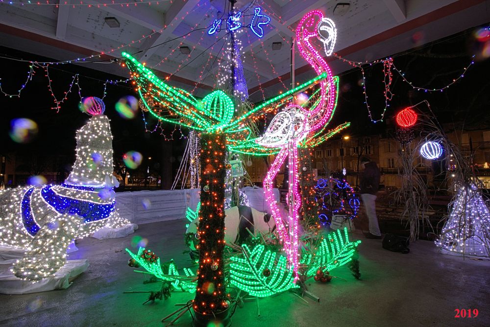 IlluSalmanacàStAff2019 (23)