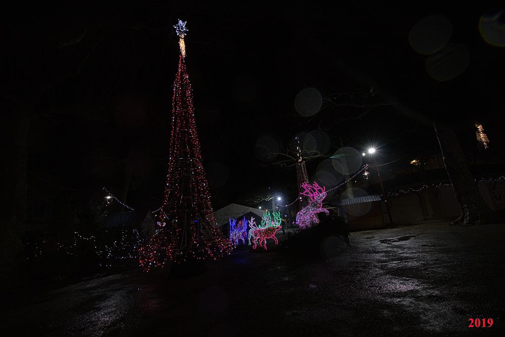 IlluSalmanacàStAff2019 (5)