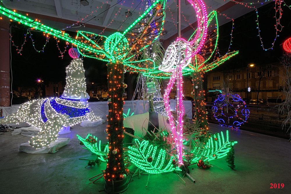 IlluSalmanacàStAff2019 (51)