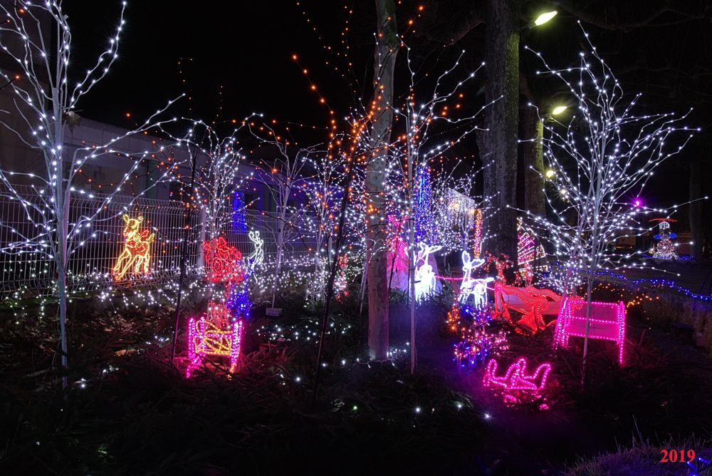 IlluSalmanacàStAff2019 (58)