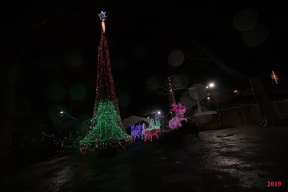 IlluSalmanacàStAff2019 (6)