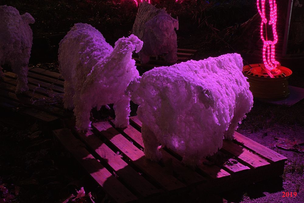 IlluSalmanacàStAff2019 (63)