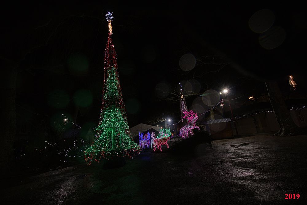 IlluSalmanacàStAff2019 (7)