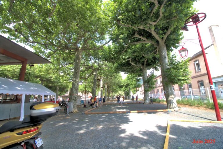 Jardin Public 2025 1