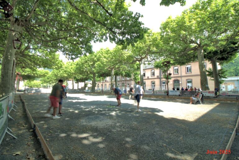 Jardin Public 2025 2