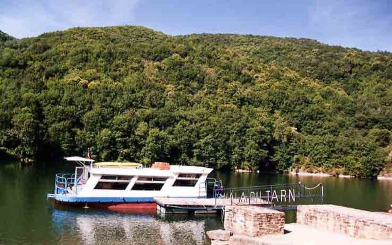 Le Héron des Raspes (1)