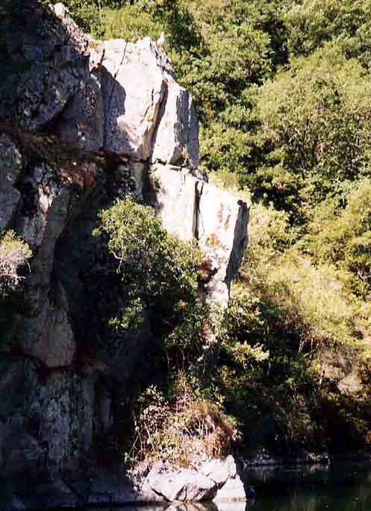 Le Héron des Raspes (12)