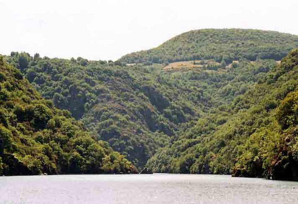 Le Héron des Raspes (13)