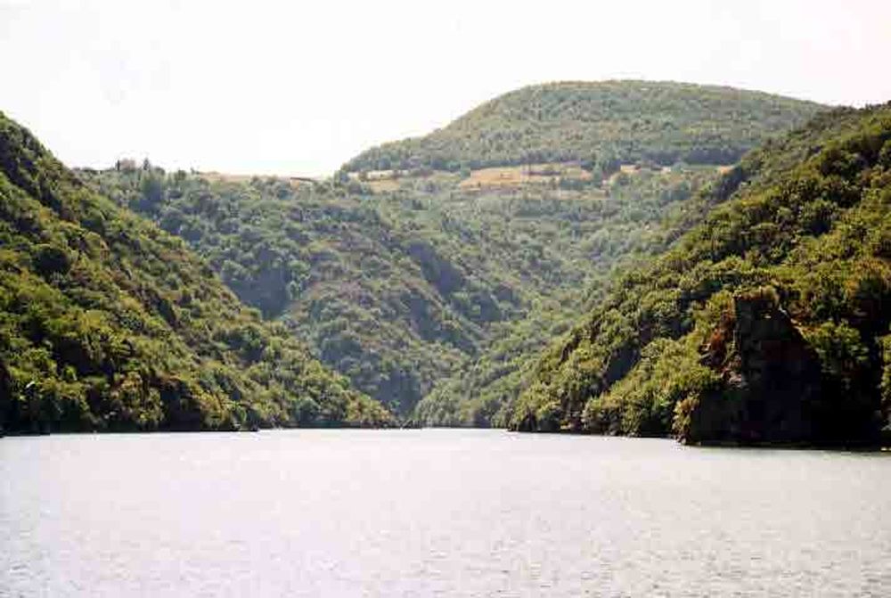 Le Héron des Raspes (14)