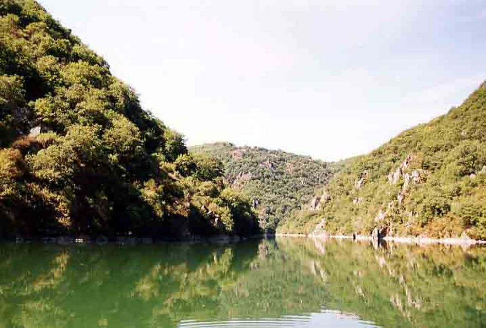 Le Héron des Raspes (15)