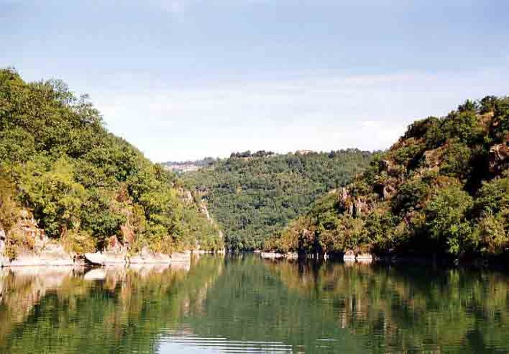 Le Héron des Raspes (17)