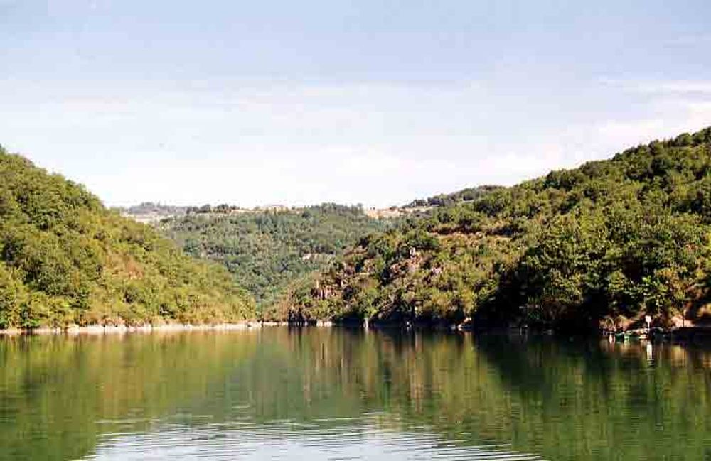 Le Héron des Raspes (18)