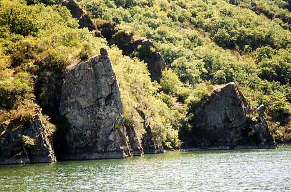 Le Héron des Raspes (21)