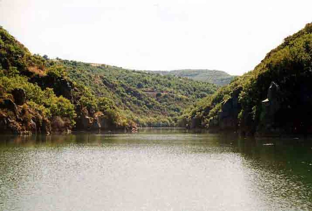 Le Héron des Raspes (22)