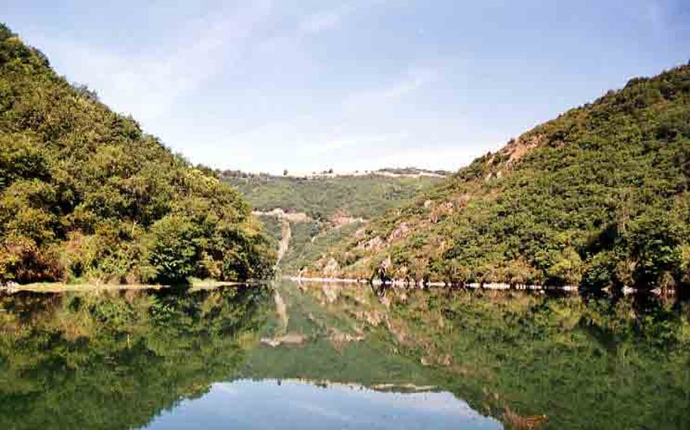 Le Héron des Raspes (23)