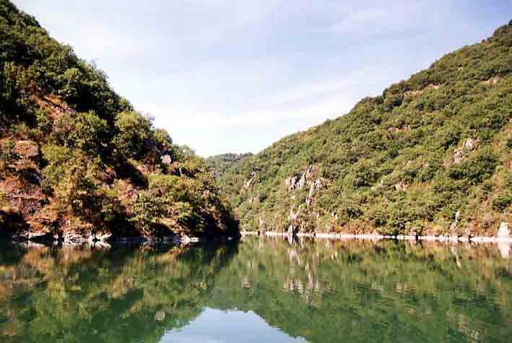 Le Héron des Raspes (24)