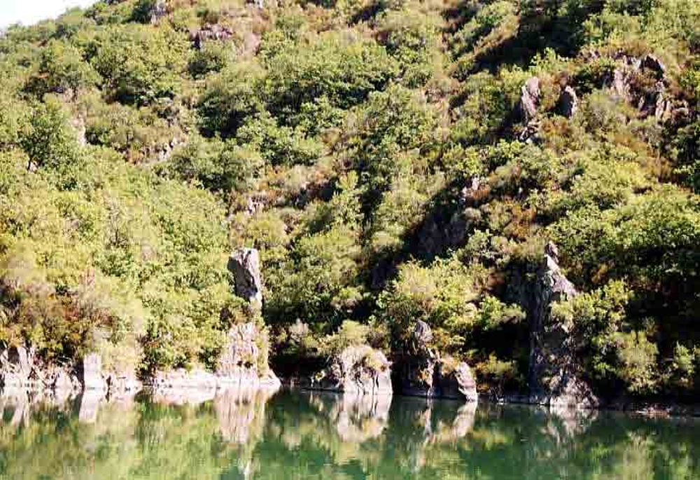 Le Héron des Raspes (26)