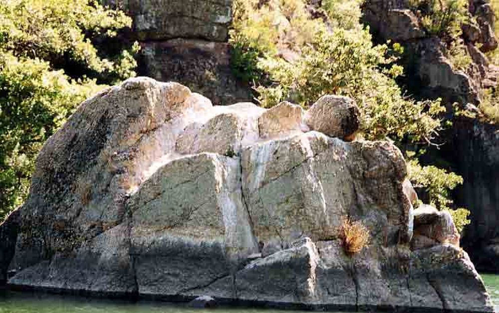 Le Héron des Raspes (27)