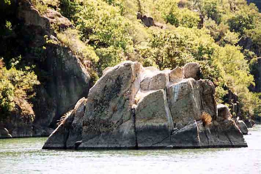 Le Héron des Raspes (28)