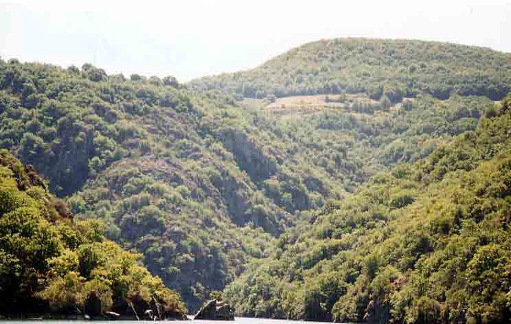 Le Héron des Raspes (29)