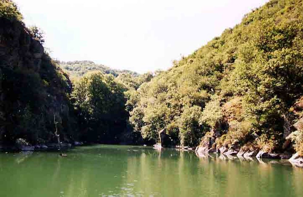 Le Héron des Raspes (31)