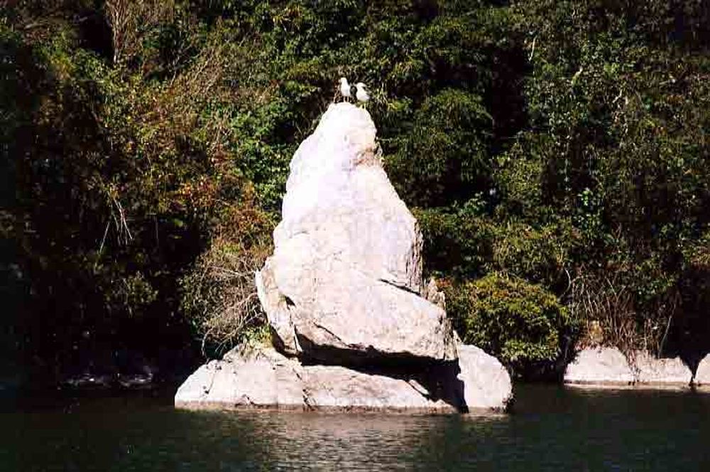 Le Héron des Raspes (32)