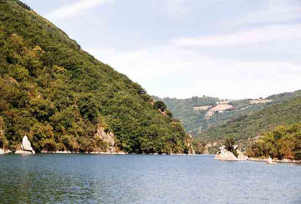 Le Héron des Raspes (34)