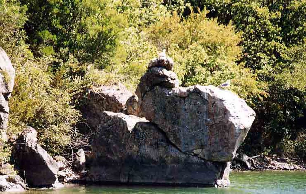 Le Héron des Raspes (35)