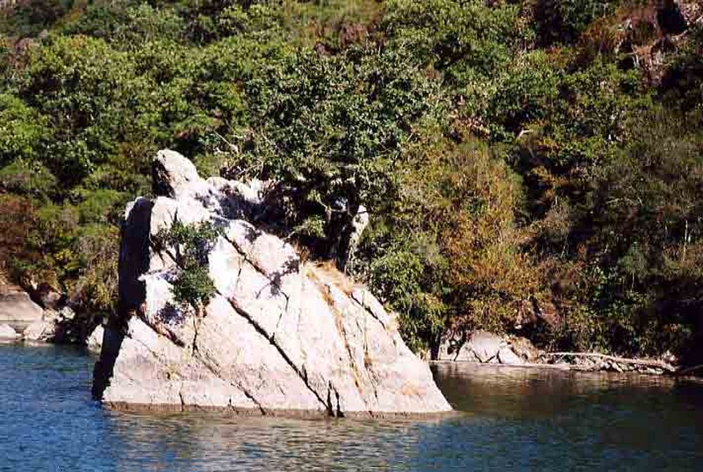 Le Héron des Raspes (36)