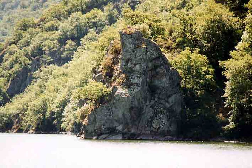 Le Héron des Raspes (37)