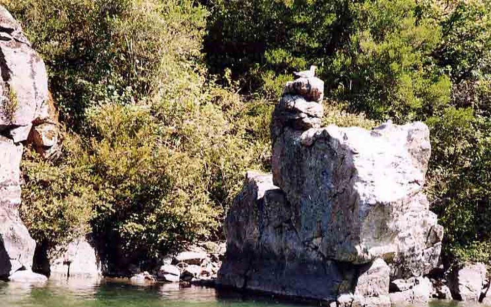 Le Héron des Raspes (38)