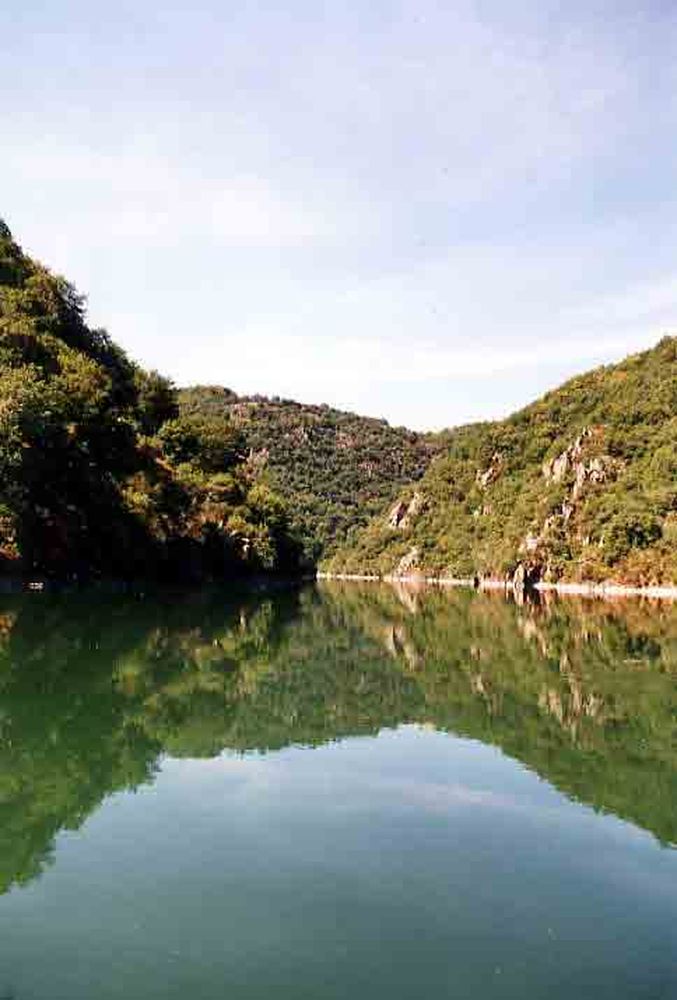 Le Héron des Raspes (39)