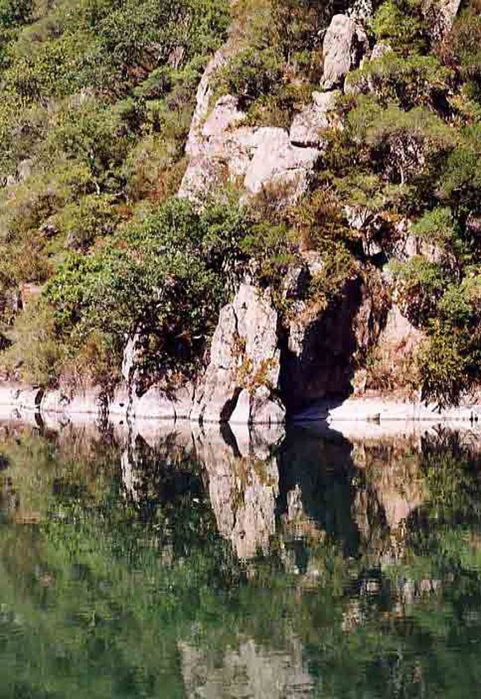 Le Héron des Raspes (4)