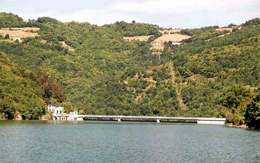 Le Héron des Raspes (40)