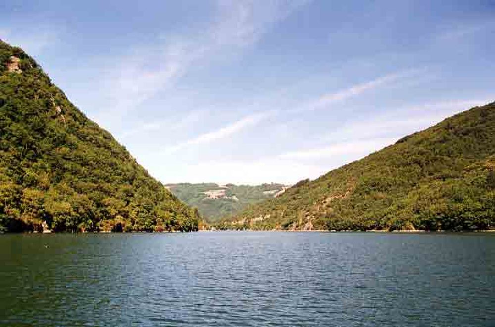 Le Héron des Raspes (6)