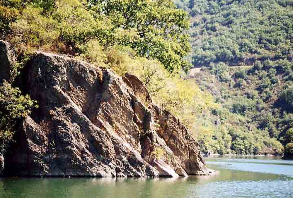 Le Héron des Raspes (7)