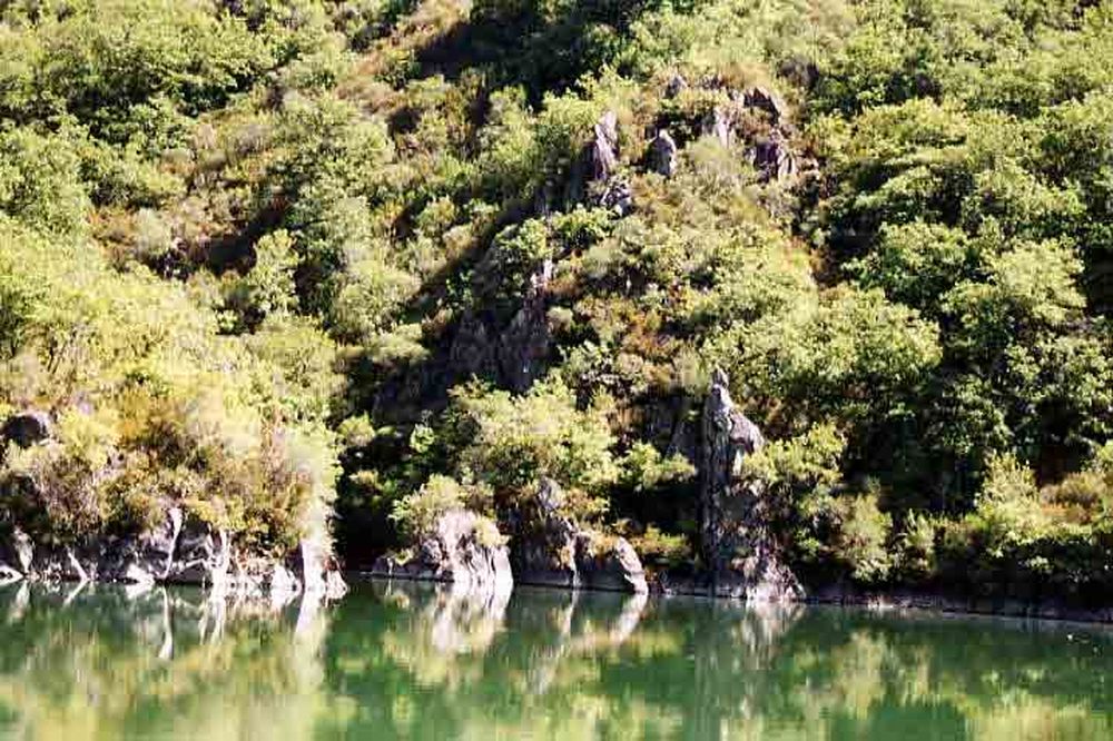 Le Héron des Raspes (8)