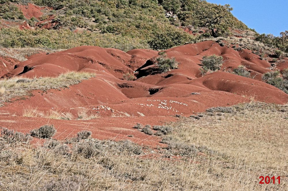 Rougier de Camarès 2011