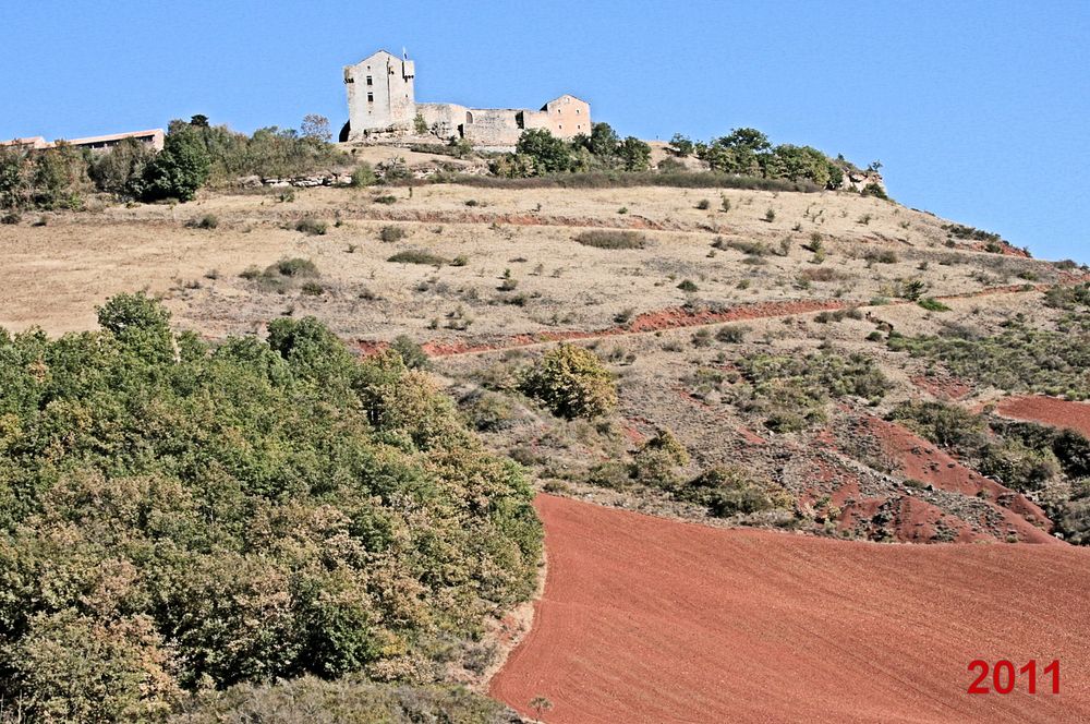 Rougier de Camarès 2011