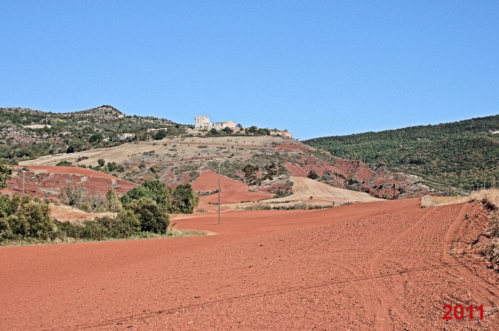 Rougier de Camarès 2011