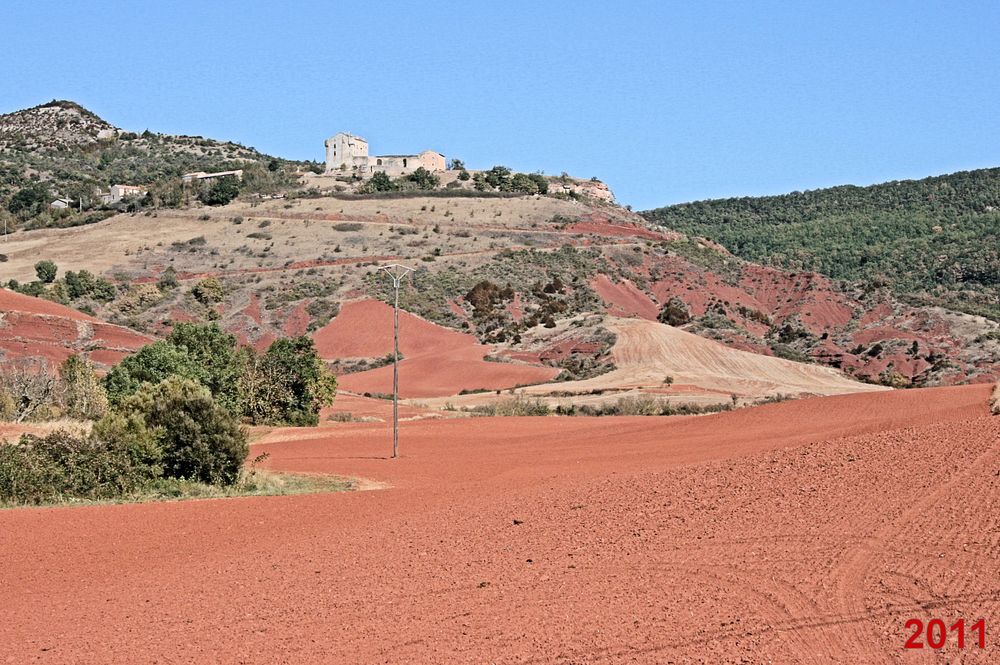 Rougier de Camarès 2011
