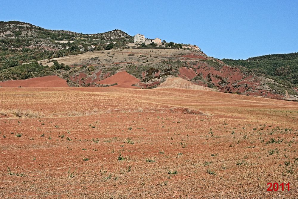Rougier de Camarès 2011